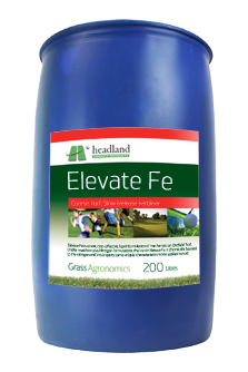 Elevate Fe